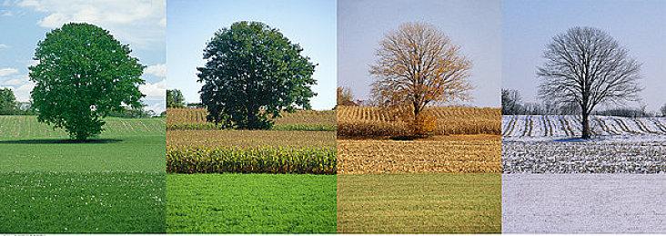 《刺客信条：影》在游戏展上遇冷 几乎没有玩家关注